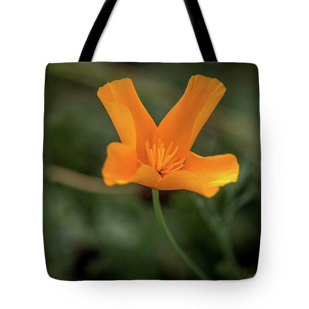  Tote Bag featuring the photograph Shy to Open by Aaron Burrows