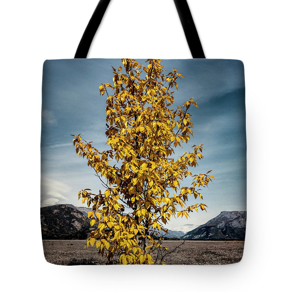 Alaska Tote Bag featuring the photograph Sign of the Times by Fred Denner
