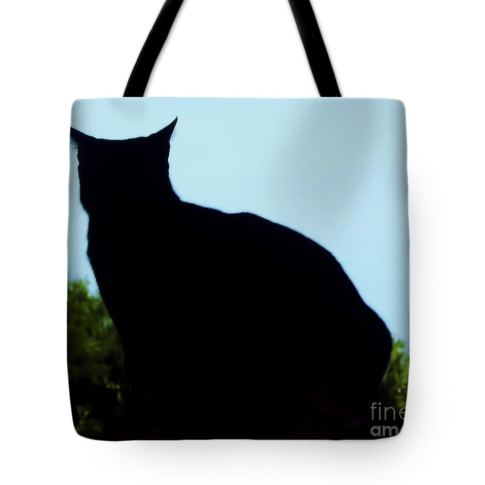 Cat Tote Bag featuring the photograph Silhouette Cat by D Hackett