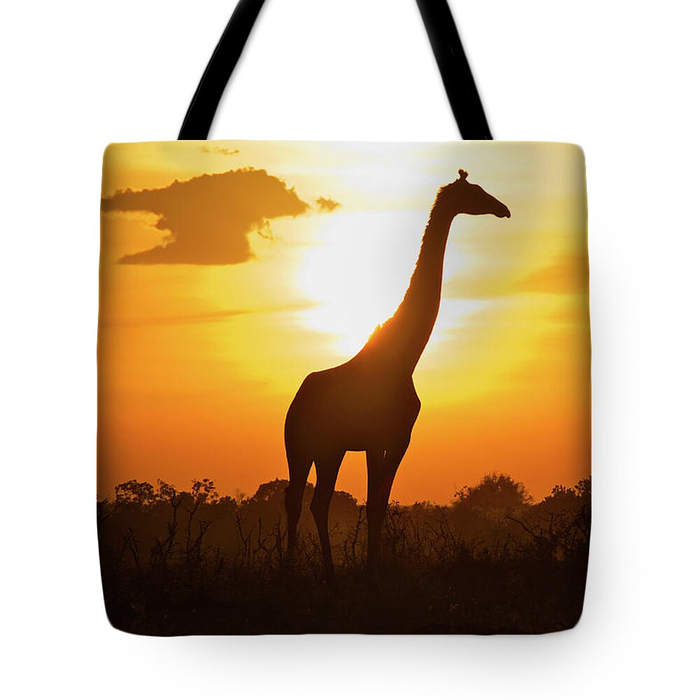 Kenya Tote Bag featuring the photograph Silhouette Giraffe At Sunset by Joost Notten