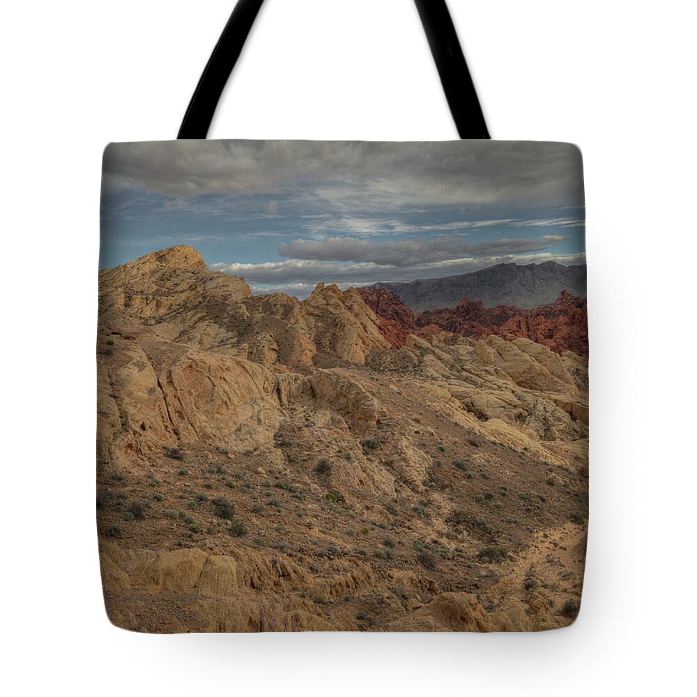 2019 Tote Bag featuring the photograph Silica Dome by Constance Puttkemery