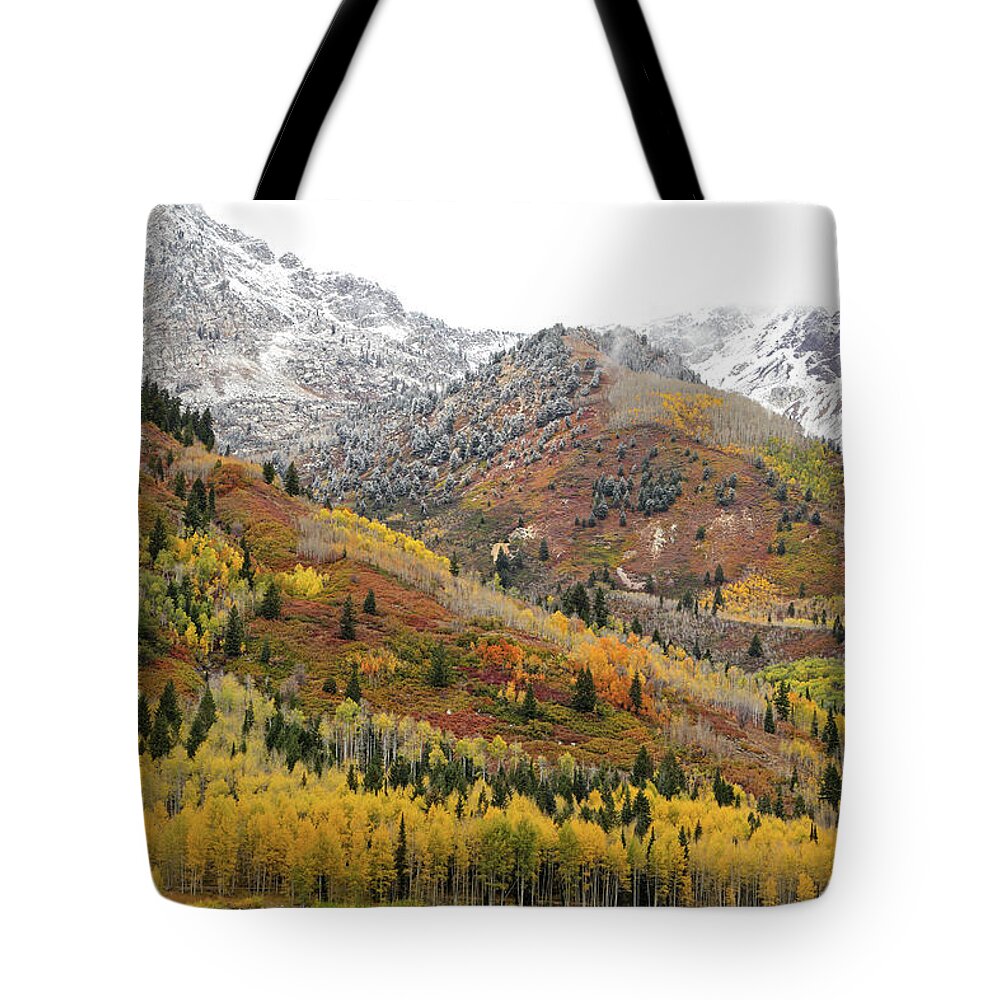 Utah Tote Bag featuring the photograph Silver Lake Flat with Fall Colors - American Fork Canyon, Utah by Brett Pelletier