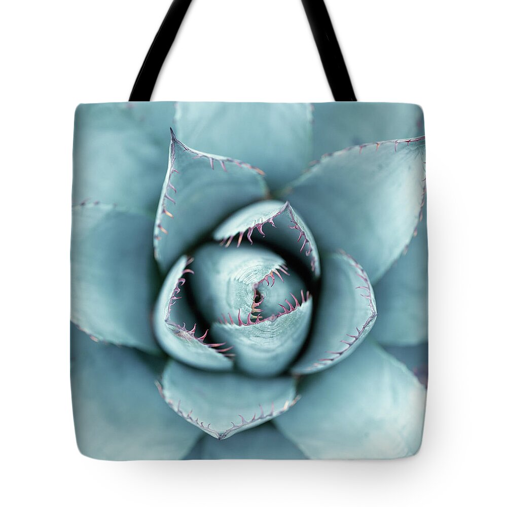 Outdoors Tote Bag featuring the photograph Silver Succulent by Micha Pawlitzki