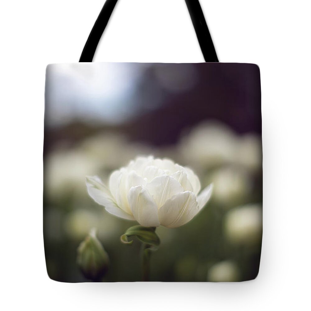 Single Flower Flowers Botany Botanic Botanical Garden Outside Outdoors Moody Mood Natural Nature Ma Mass Massachusetts New England Newengland Usa U.s.a. Brian Hale Brianhalephoto Tote Bag featuring the photograph Single by Brian Hale