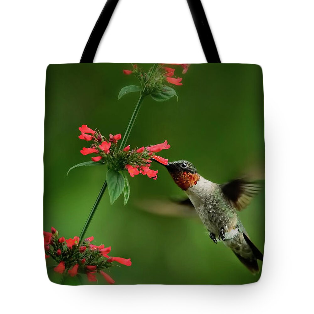 Fine Art Nature Photography Tote Bag featuring the photograph Sipping in the Garden by Carol Eade