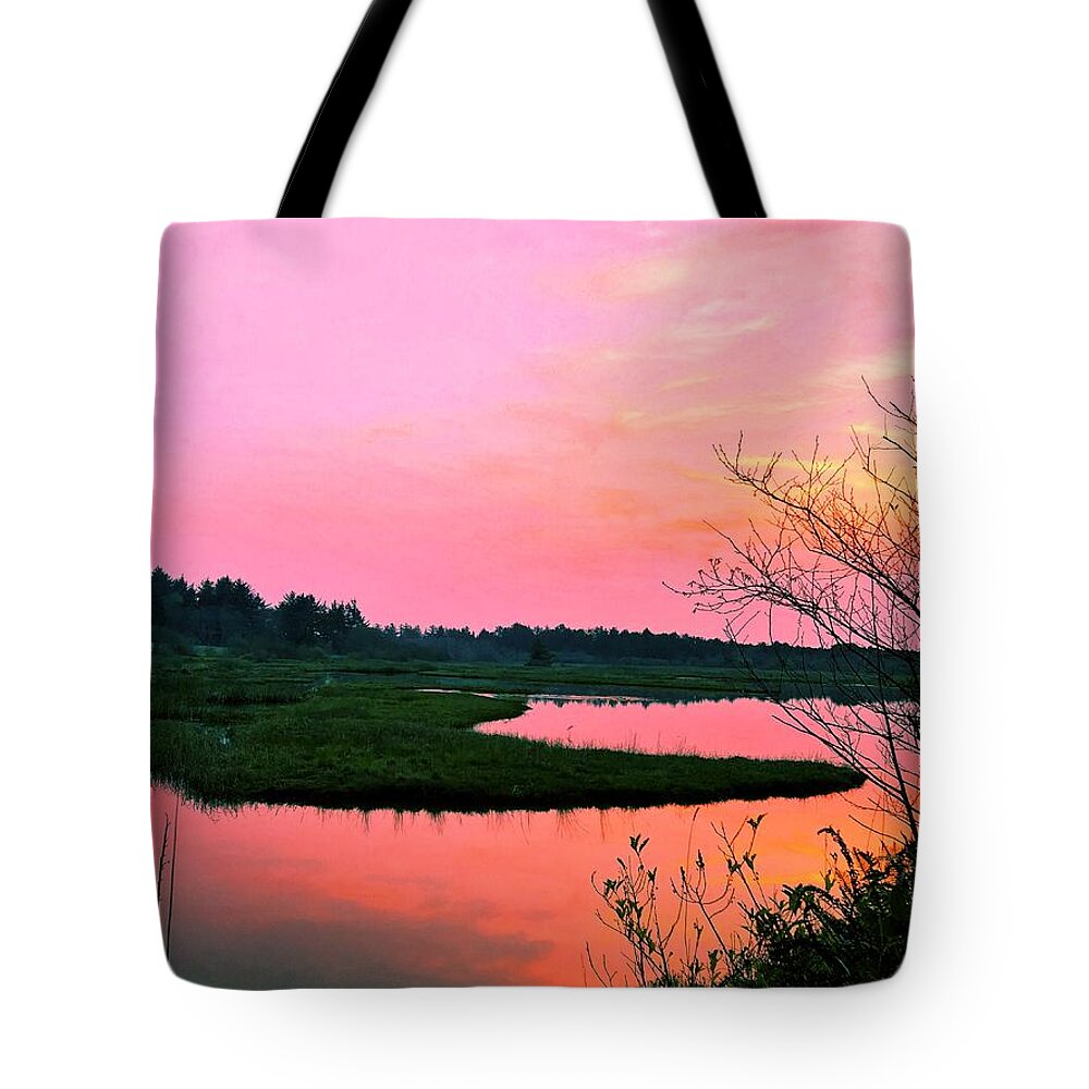 Oregon Tote Bag featuring the photograph Sitka Sedge Sunset by Chriss Pagani