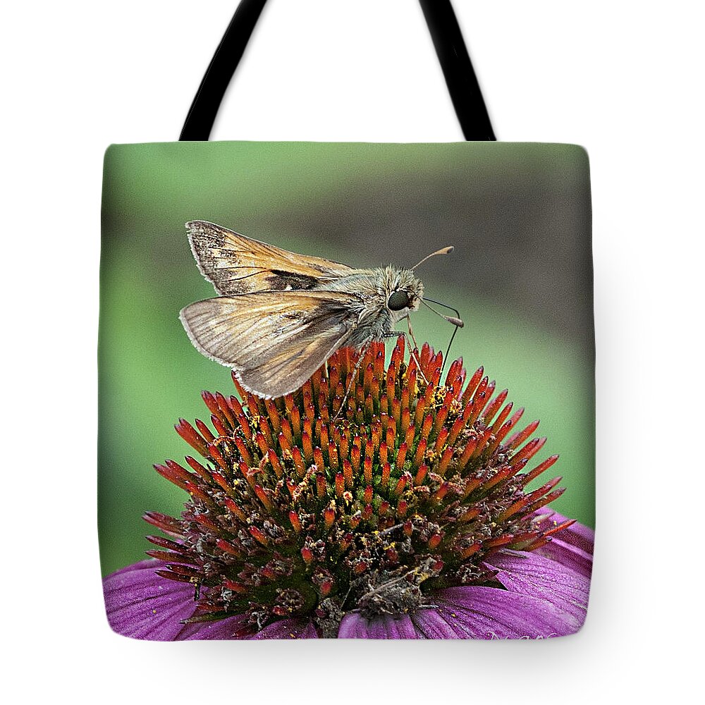 Skipper On Cone Flower Tote Bag featuring the photograph Skipper on Cone Flower by Diane Giurco