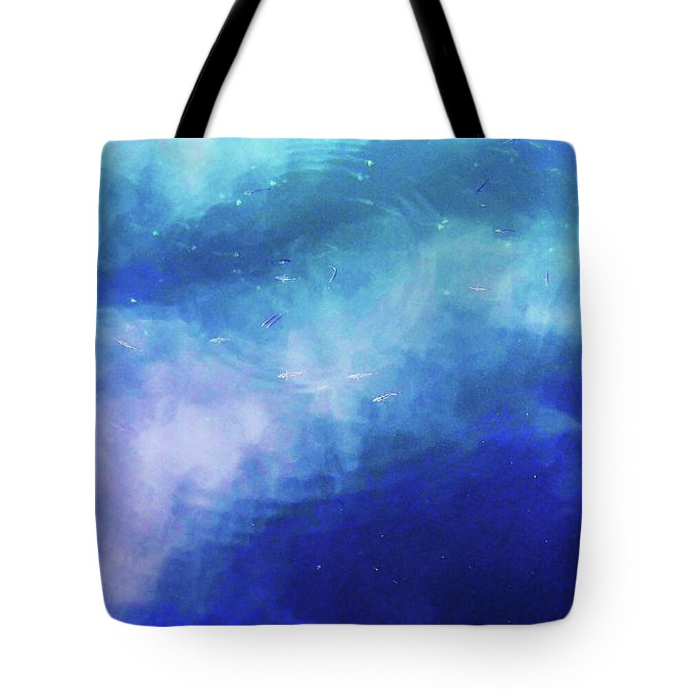 Fish Tote Bag featuring the photograph Skyfish by Fred Bailey