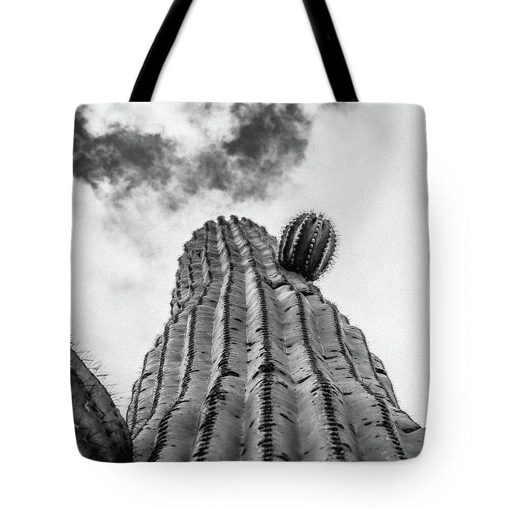 Cactus Tote Bag featuring the photograph Skyward by Melisa Elliott