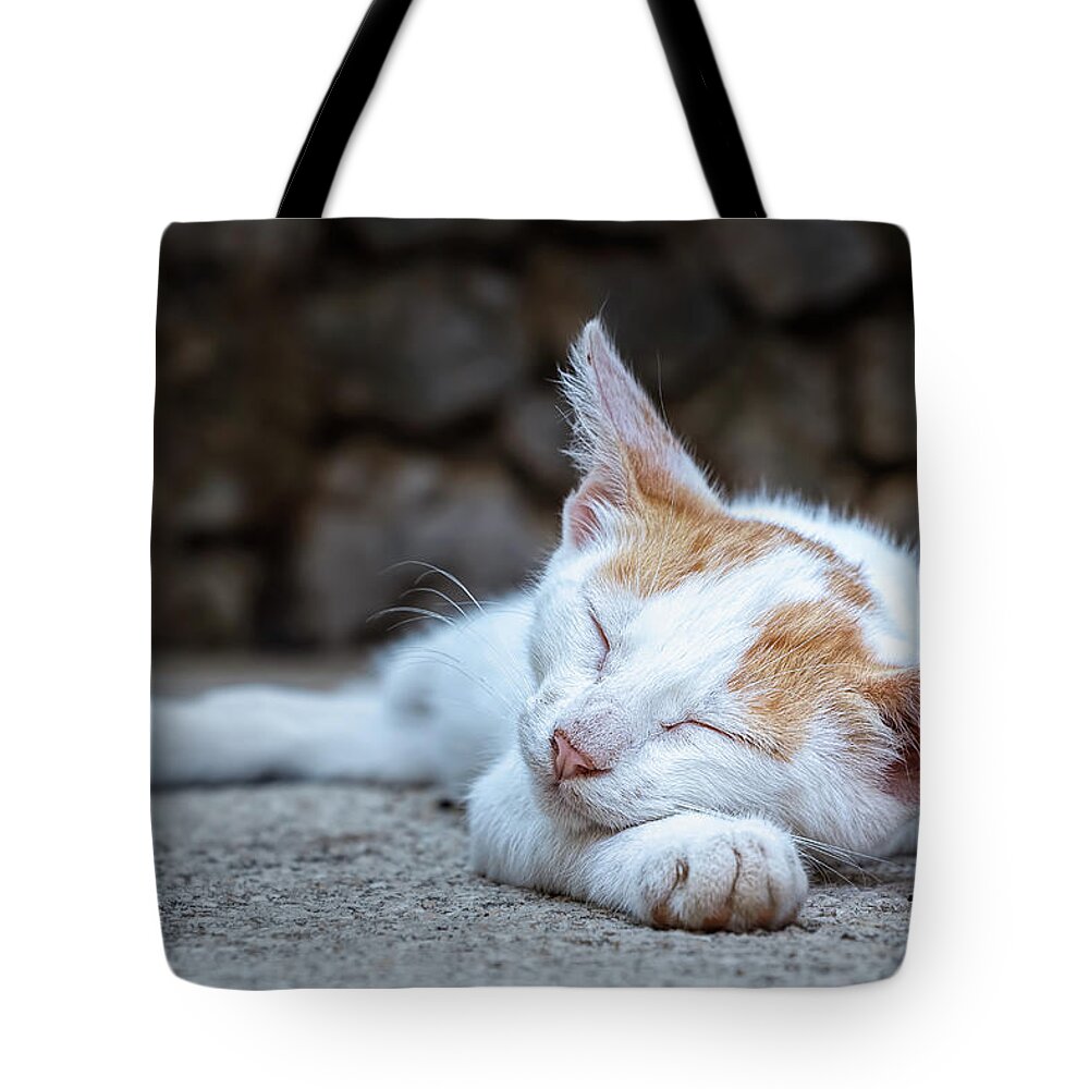 Animal Tote Bag featuring the photograph Sleeping Kitty by Rick Deacon