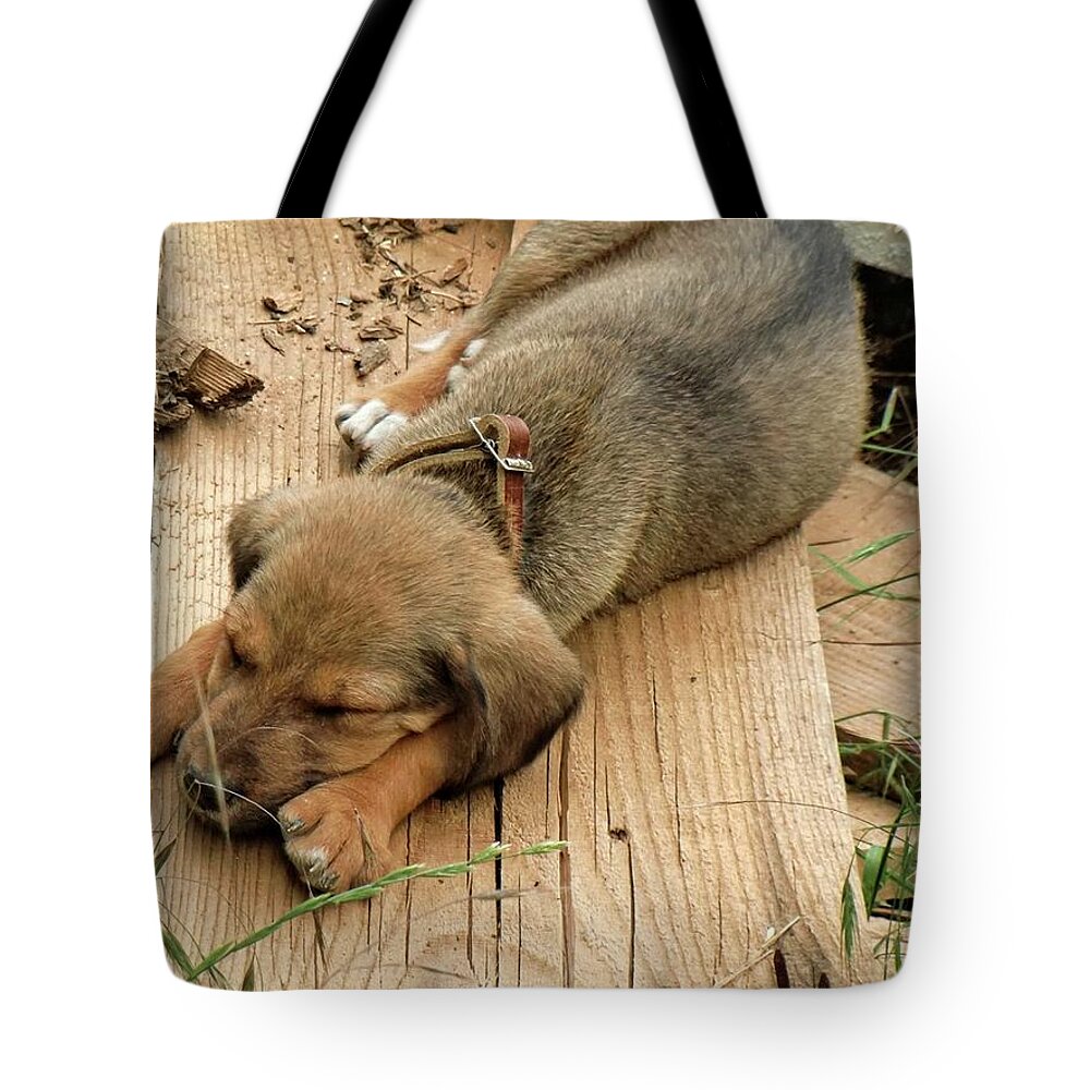 Sleeping Tote Bag featuring the photograph Sleeping pup by Martin Smith