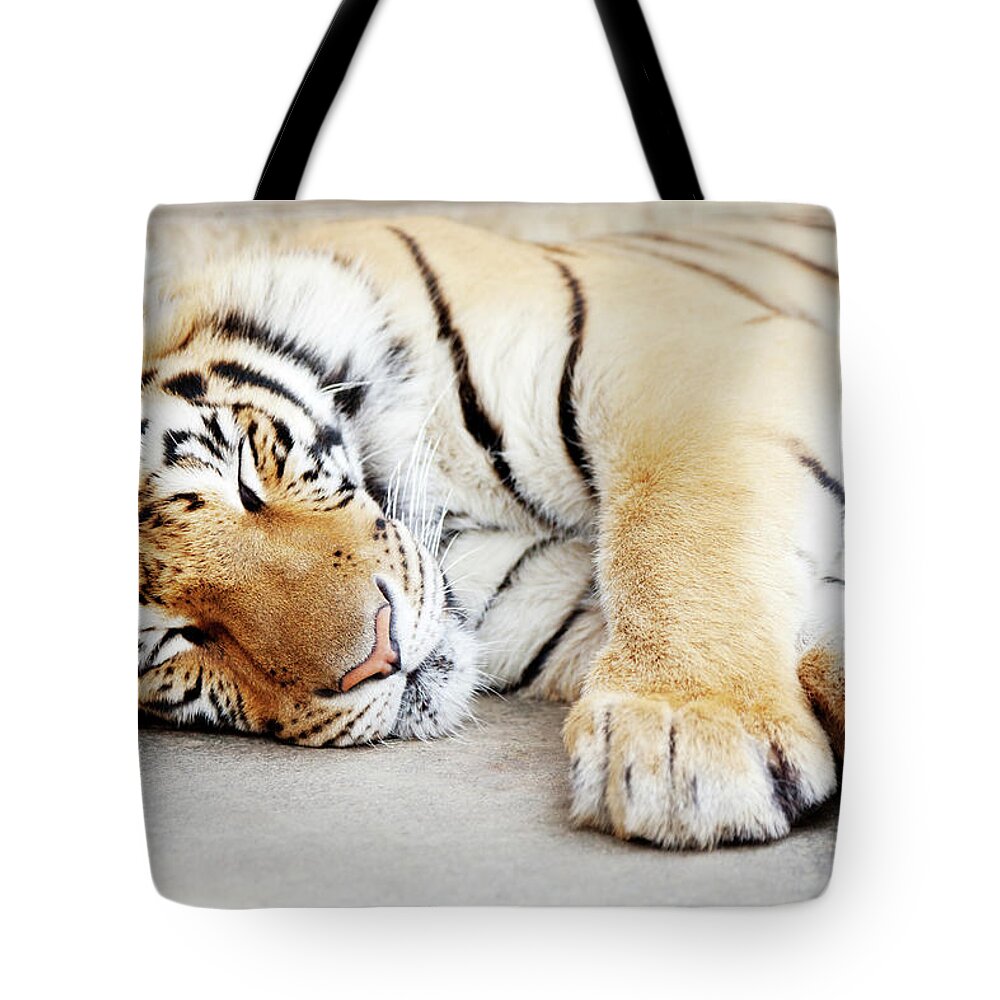 One Animal Tote Bag featuring the photograph Sleeping Tiger, Chiang Mai, Thailand by Ivanmateev
