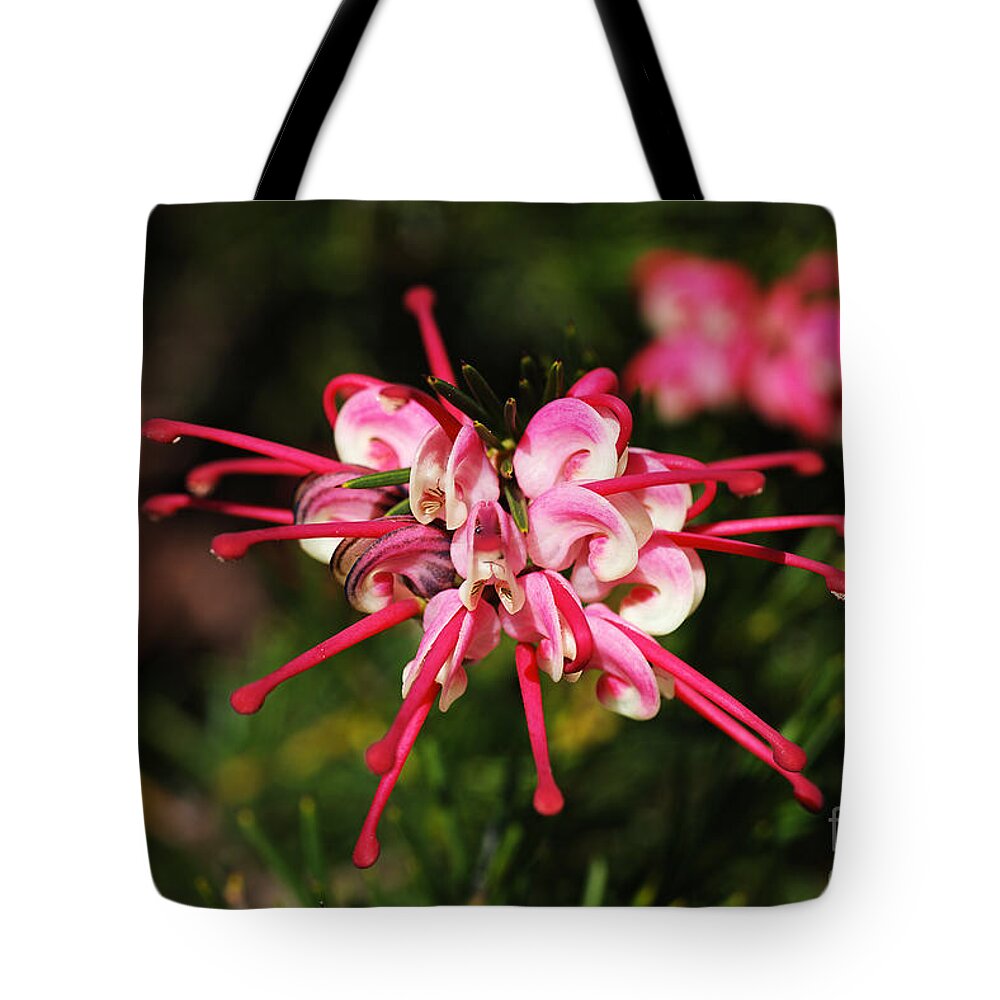 Small Grevillea Flower Tote Bag featuring the photograph Small Grevillea Flower by Joy Watson