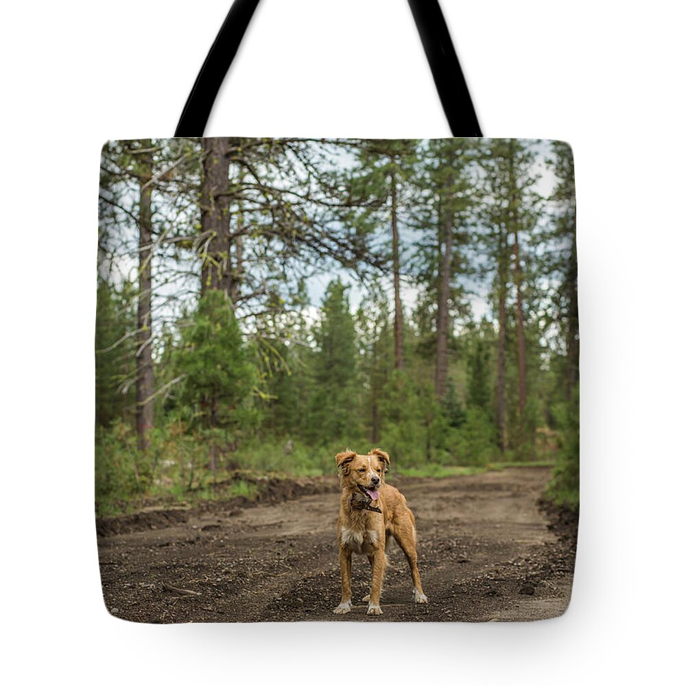 Dog Tote Bag featuring the photograph Smiley Dog outside by Julieta Belmont