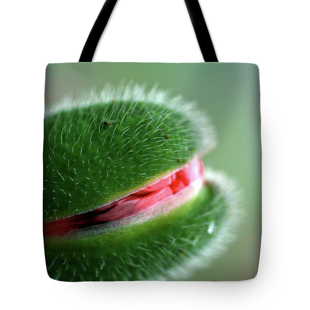 Windsor Tote Bag featuring the photograph Smiling Poppy by Photography By Gordana Adamovic Mladenovic