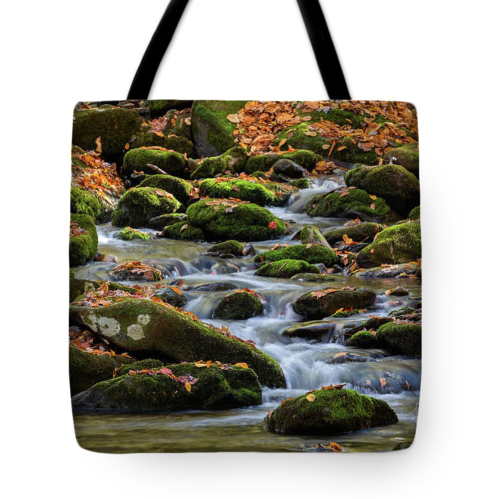 2000-2019 Complete Portfolio Tote Bag featuring the photograph Smokey Mountain Cascades by Doug Sturgess