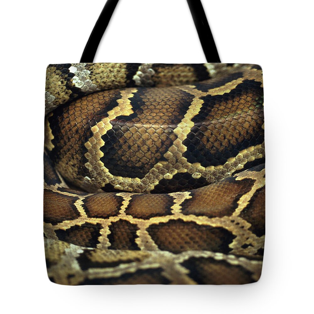 Animal Skin Tote Bag featuring the photograph Snake by John Foxx