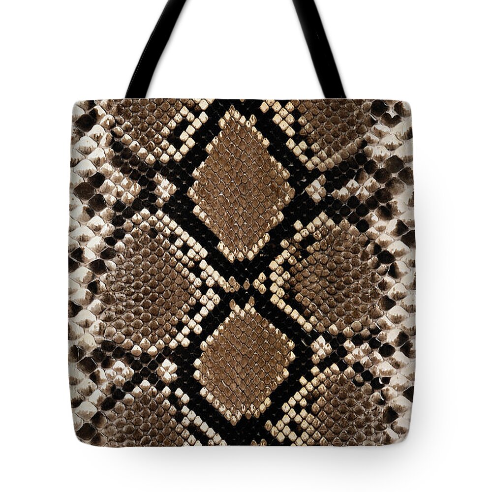 Snake Leather Bag; Different Colors Sizes Long Lifespan Snakeskin Pattern -  Arad Branding
