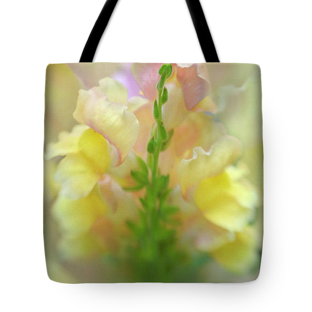 Snapdragon Tote Bag featuring the photograph Snapdragon Sunrise by Wild Sage Studio Karen Powers