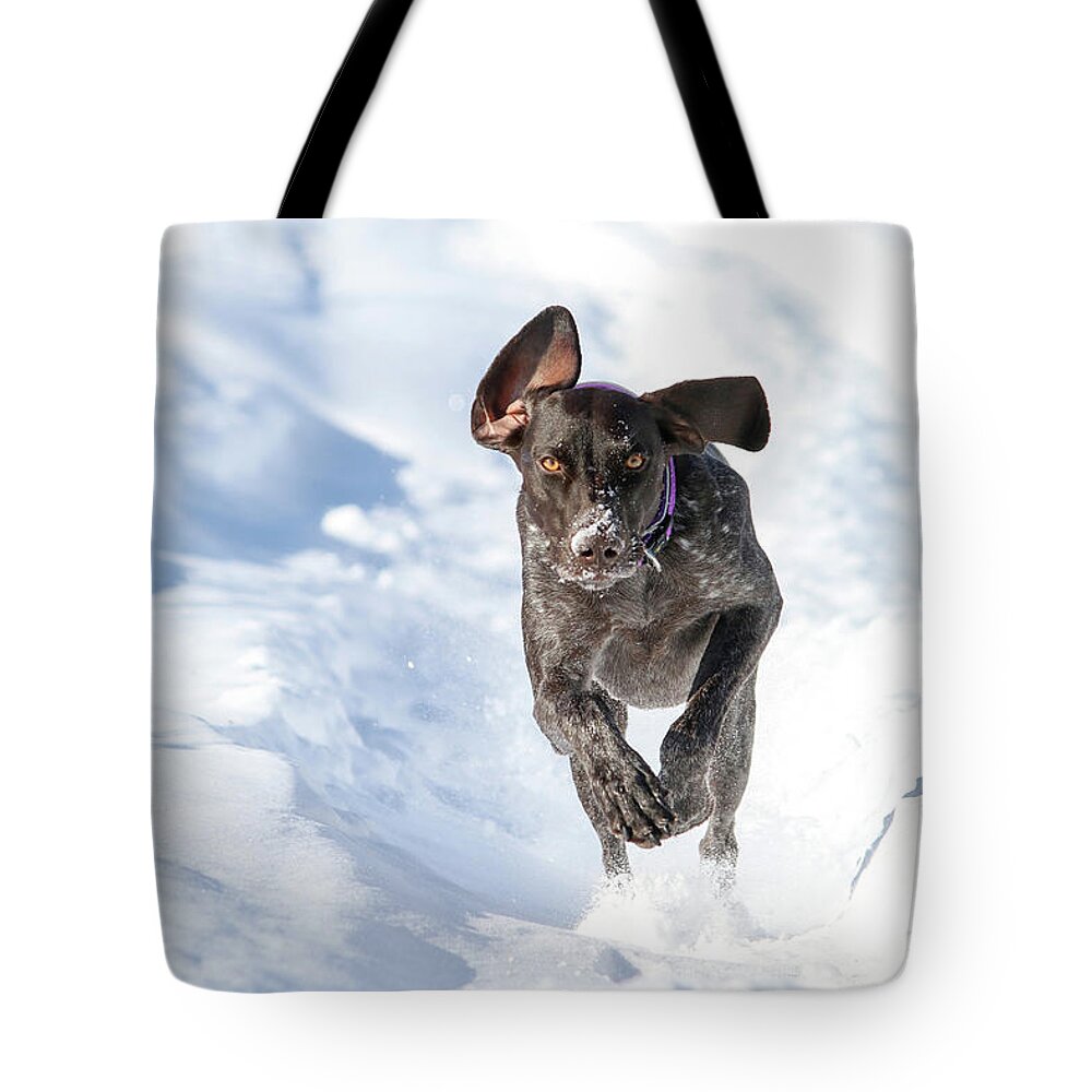 Snow Tote Bag featuring the photograph Snow Bound Macie by Brook Burling