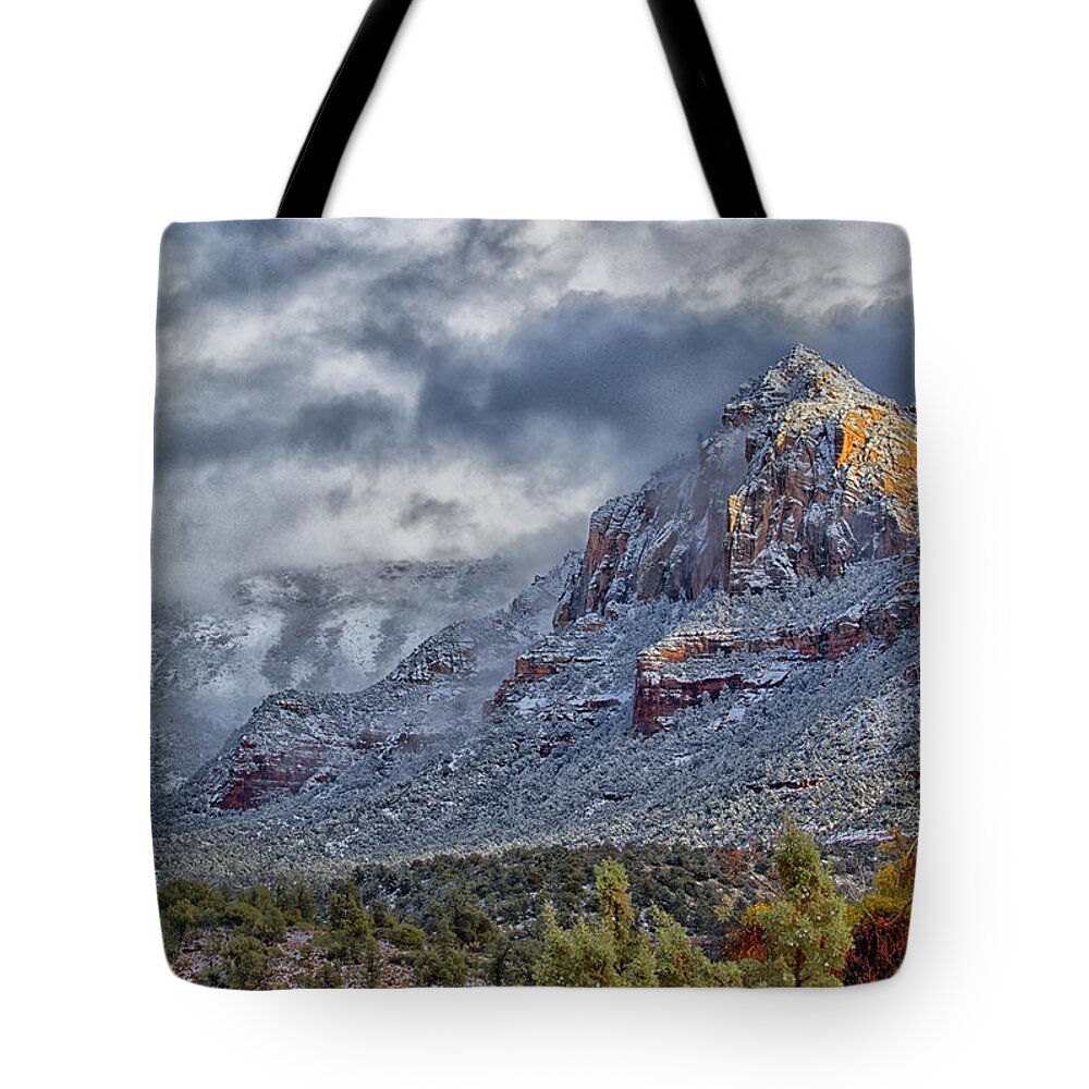Winter Tote Bag featuring the photograph Snow Break by Tom Kelly