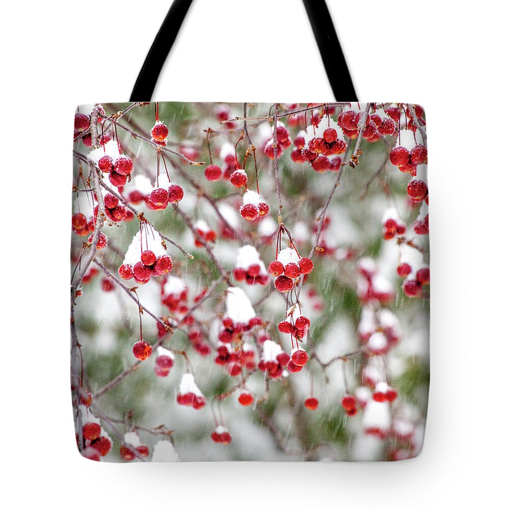Winter Tote Bag featuring the photograph Snow Covered Red Berries by Trevor Slauenwhite