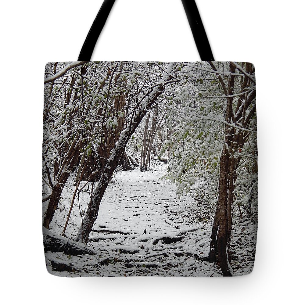 Trail Tote Bag featuring the photograph Snow In The Woods by Phil Perkins