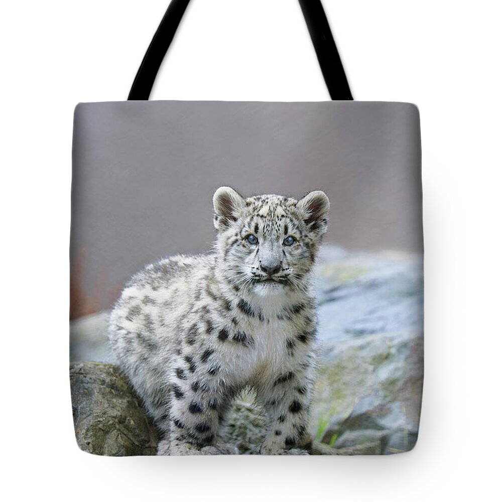 Suzi Eszterhas Tote Bag featuring the photograph Snow Leopard Cub by Suzi Eszterhas