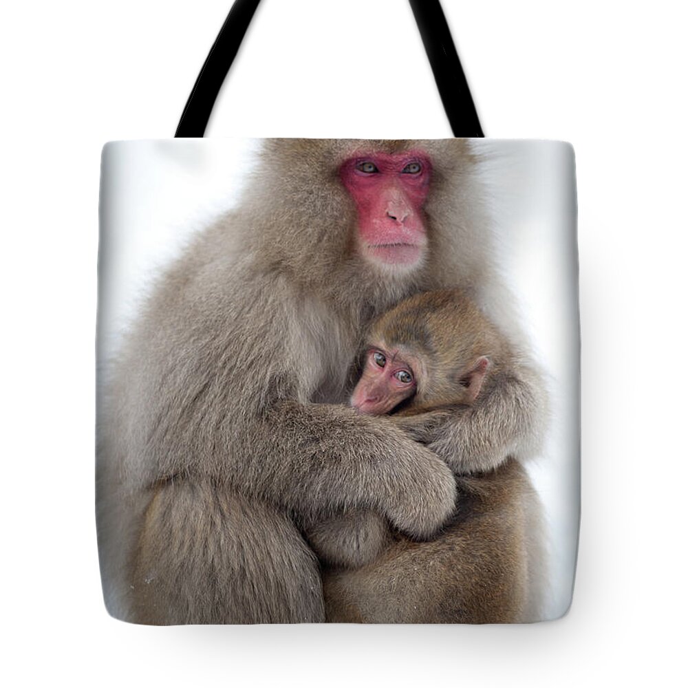 Snow Tote Bag featuring the photograph Snow Monkey by Patrick Shyu
