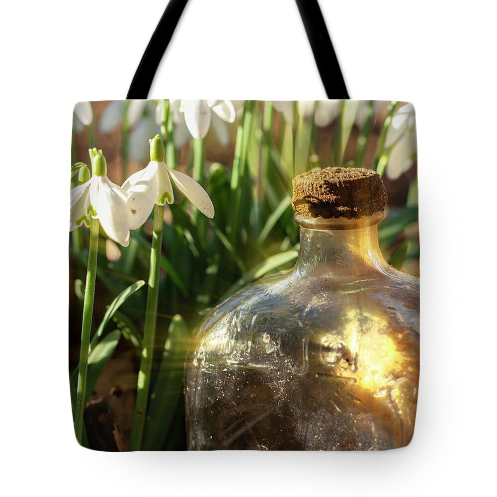 Snowdrops Tote Bag featuring the photograph Snowdrop flowers and old glass jar with sunlight by Simon Bratt