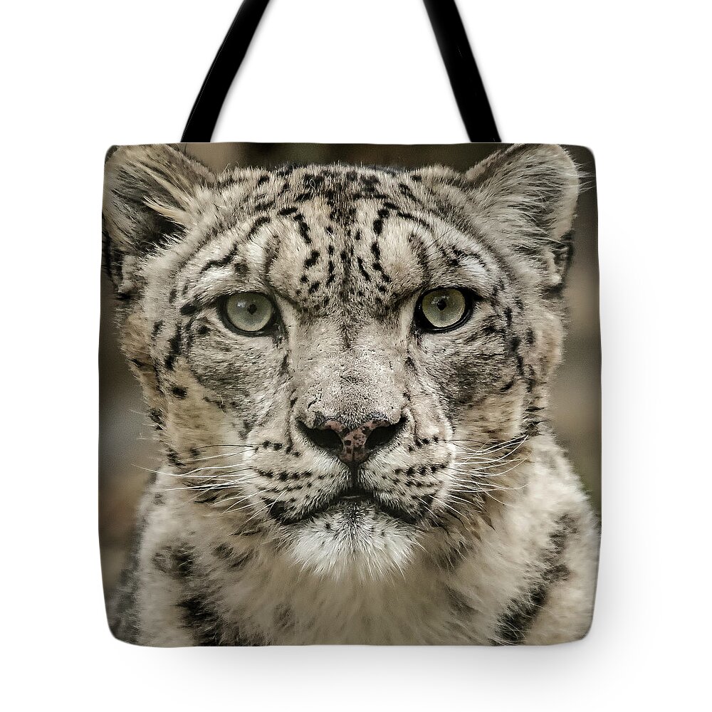 Snow Tote Bag featuring the photograph SnowLeopardFacial by Chris Boulton