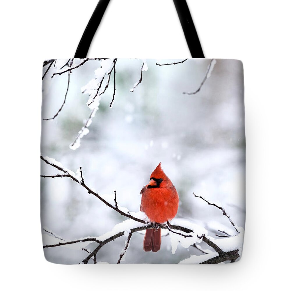 Cardinal Tote Bag featuring the photograph Snowstorm in Virginia by Rachel Morrison