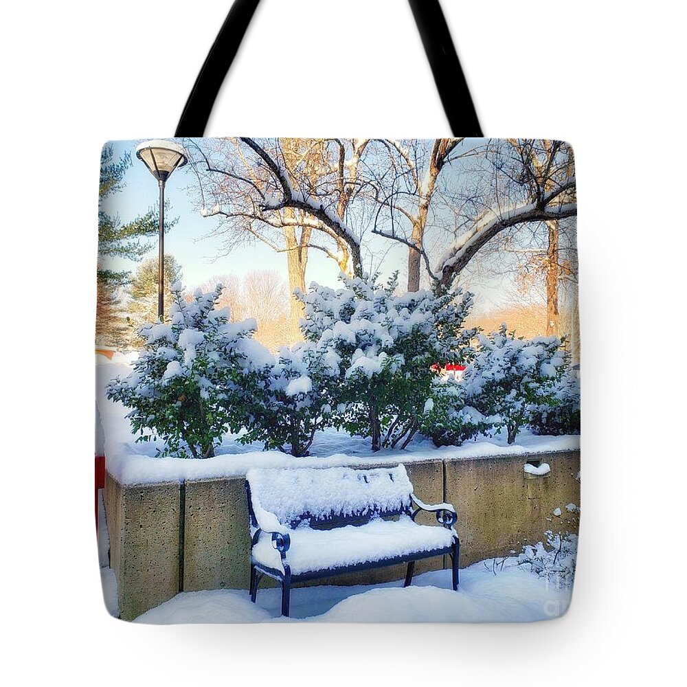 Snow Tote Bag featuring the photograph Snowy Bench by Mary Capriole