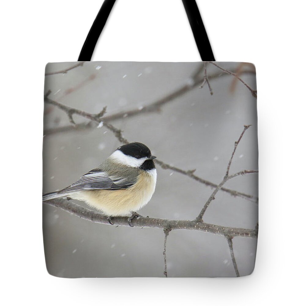 Chickadee Tote Bag featuring the photograph Snowy Chickadee by Brook Burling