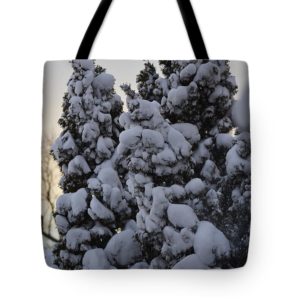 Snowy Dazes Tote Bag featuring the photograph Snowy Dazes by Barbra Telfer