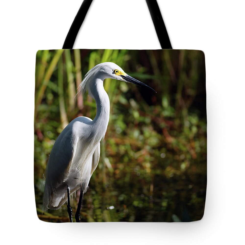 Egret Tote Bag featuring the photograph Snowy Egret Dawn by Natural Focal Point Photography