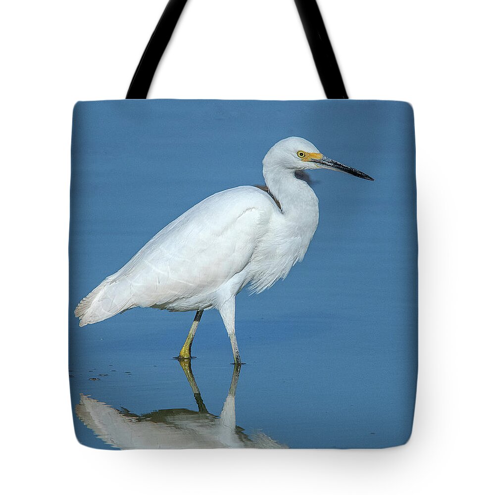 Nature Tote Bag featuring the photograph Snowy Egret DMSB0182 by Gerry Gantt