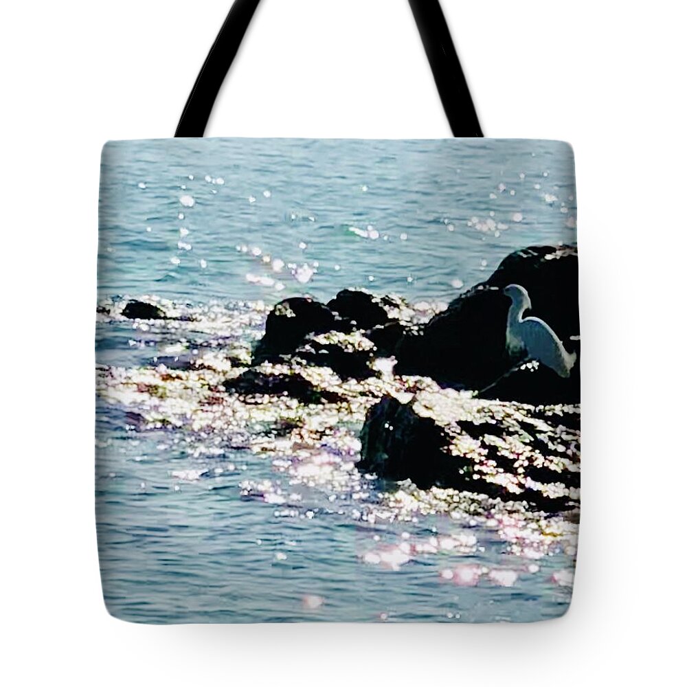 Sea Tote Bag featuring the photograph Snowy Egret Watching for Dinner Captiva Island by Shelly Tschupp
