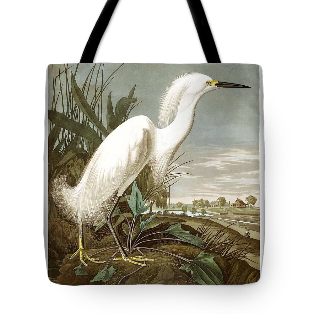 Bird Tote Bag featuring the painting Snowy Heron, or White Egret by John Audubon by Celestial Images