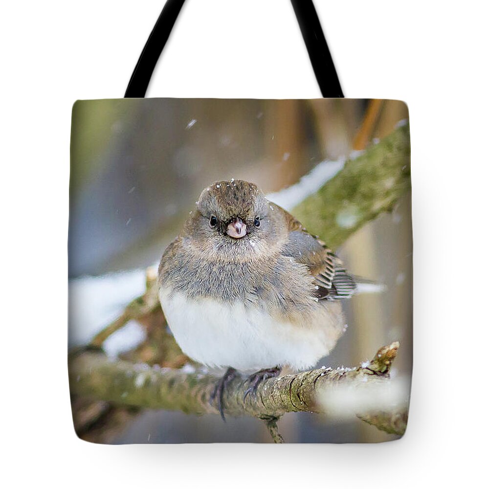 Junco Tote Bag featuring the photograph Snowy Junco by Kathy Sherbert