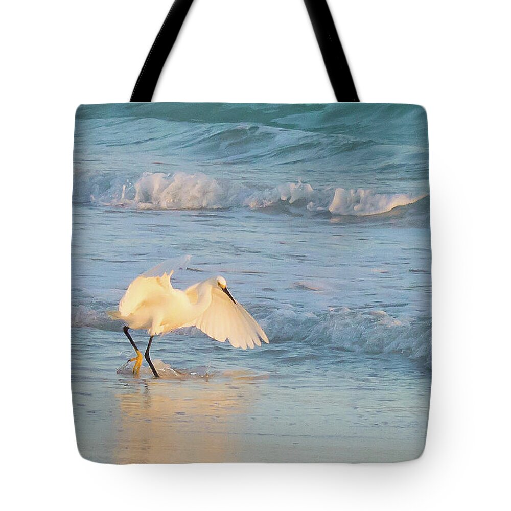 Susan Molnar Tote Bag featuring the photograph Snowy Siesta Key Sunset III by Susan Molnar