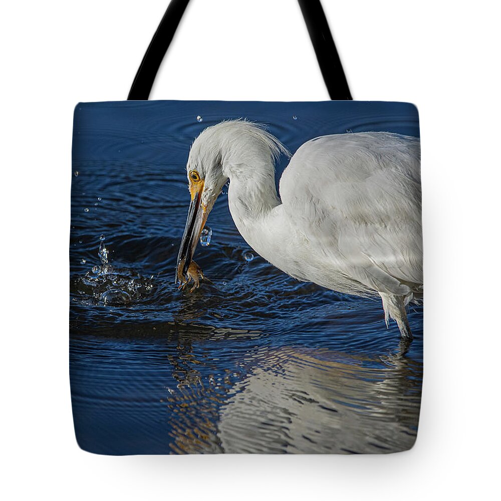 Snowy White Egret Tote Bag featuring the photograph Snowy White Egret 1 by Rick Mosher