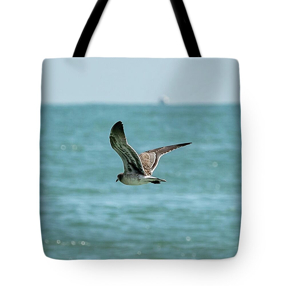 Ocean Tote Bag featuring the photograph Soaring Gull in Virginia Beach by Donna Twiford