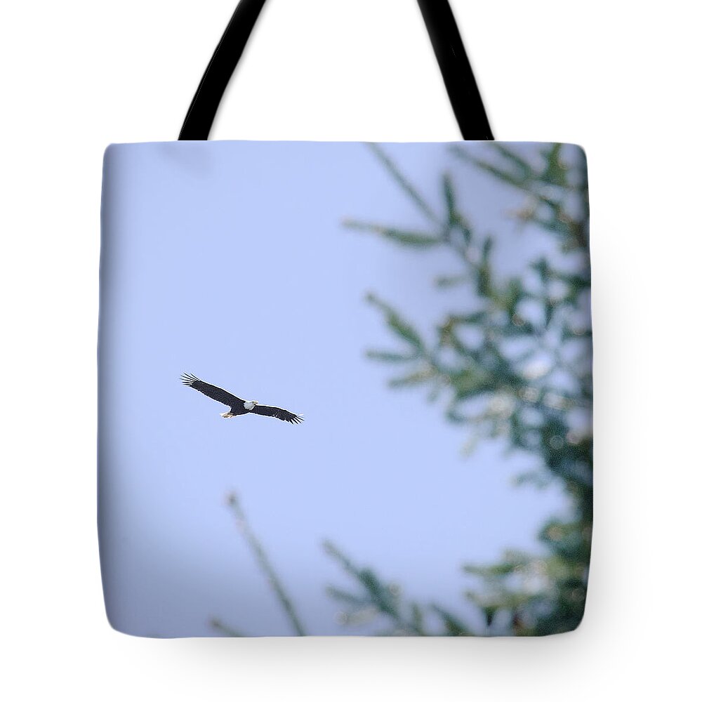 National Park Tote Bag featuring the photograph Soaring Over the Olympics by Steven Keys