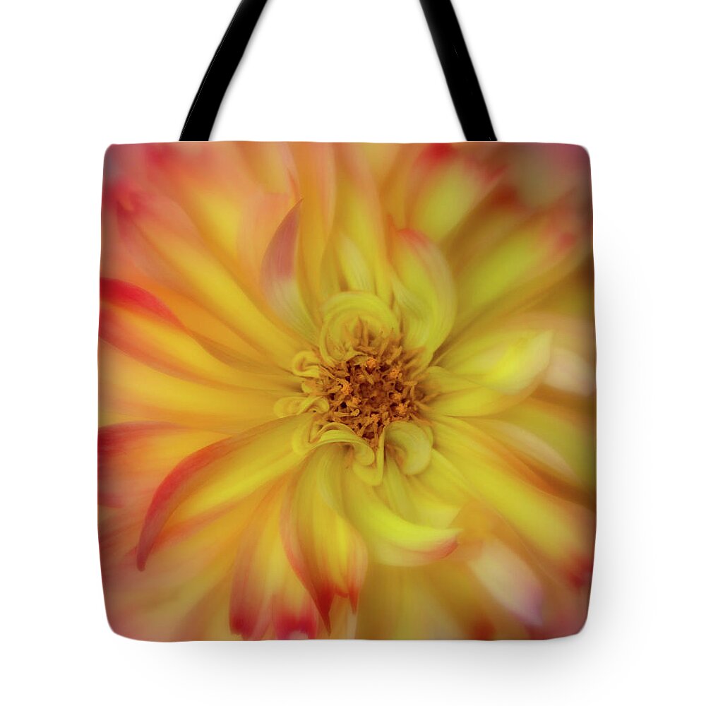 Dahlia Tote Bag featuring the photograph Soft Curves Dahlia by Mary Jo Allen