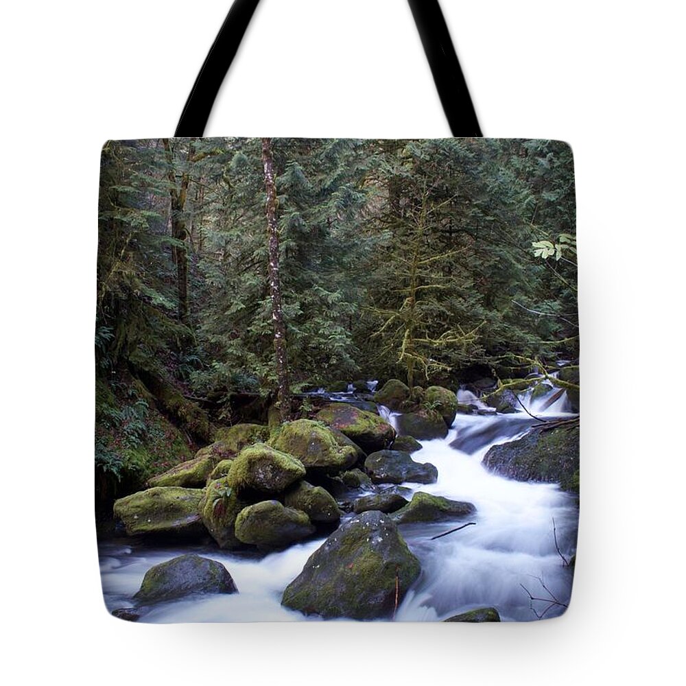 Soft Multnomah Flow Tote Bag featuring the photograph Soft Multnomah Flow by Dylan Punke