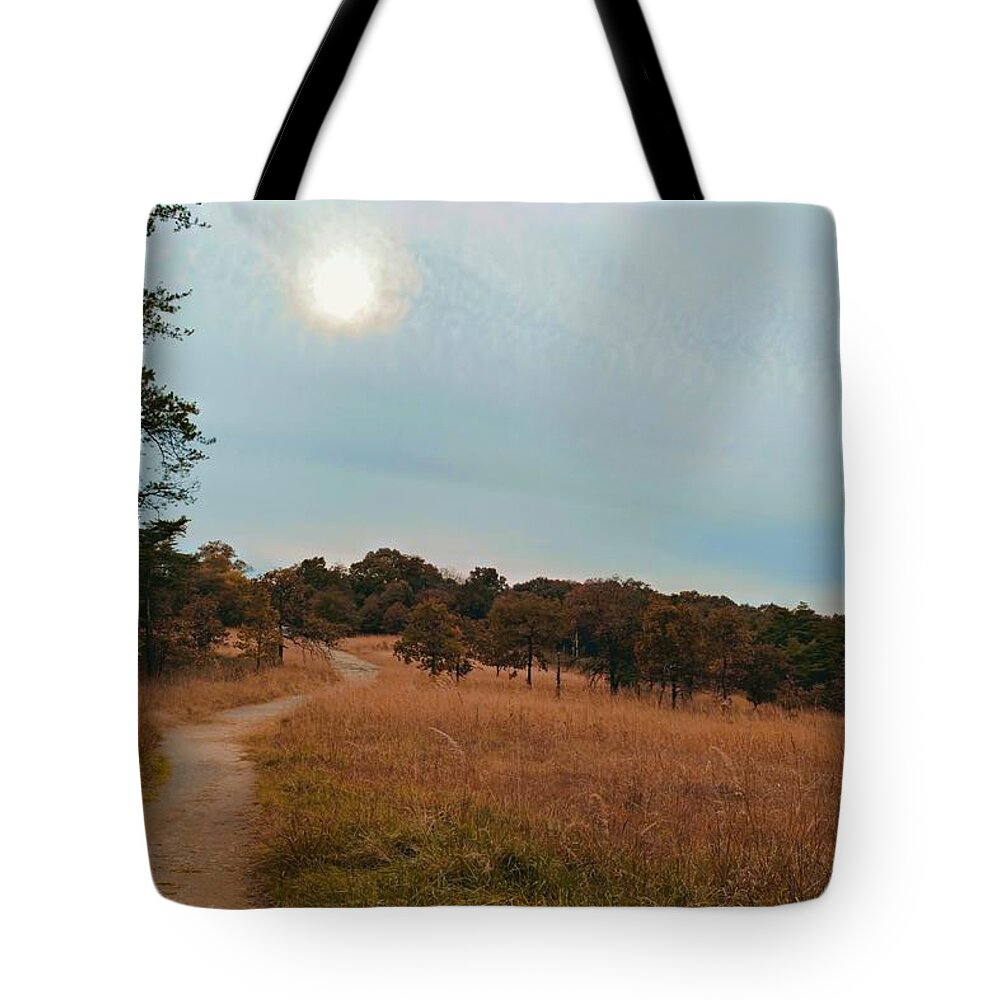 Path Tote Bag featuring the photograph Soldiers Delight by Chris Montcalmo
