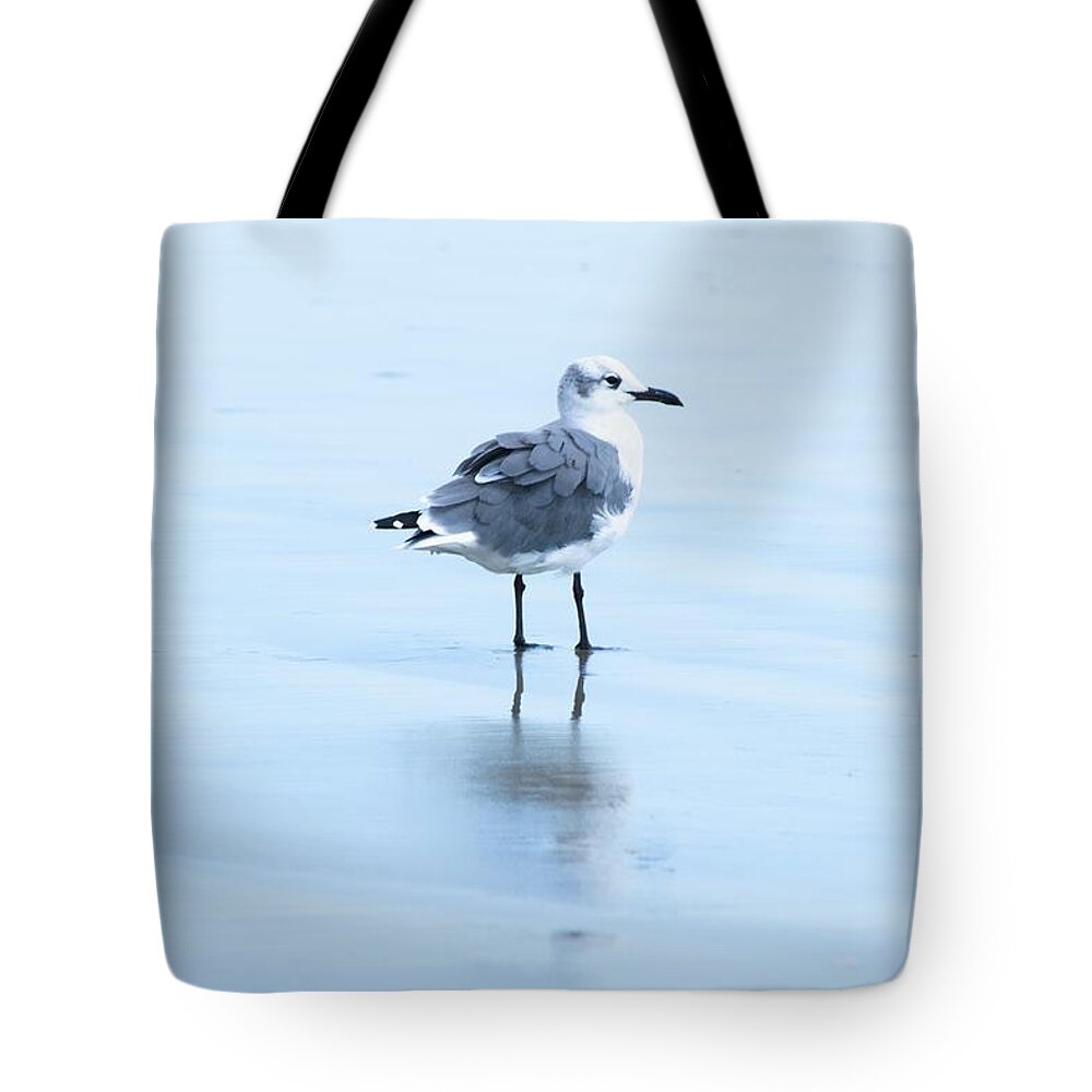 Laughing Gull Tote Bag featuring the photograph Solitary Laughing Gull by Mary Ann Artz