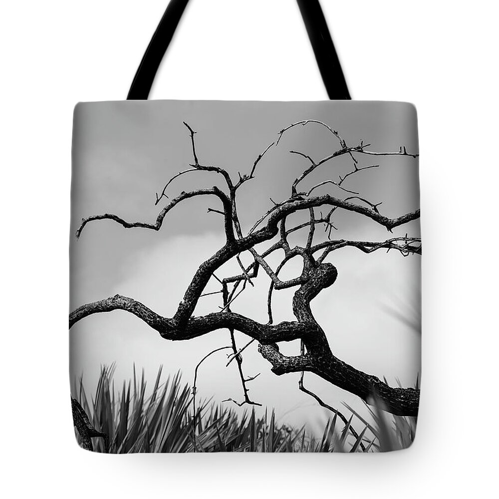 Tree Tote Bag featuring the photograph Something Wicked by Valerie Cason
