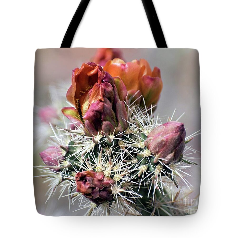 Photography Tote Bag featuring the photograph Sonoran Beauty by Charleen Martin